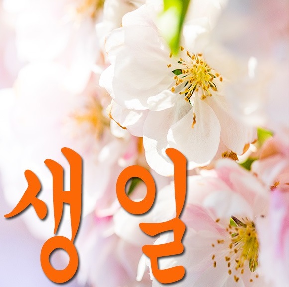 Корейский Язык Поздравления